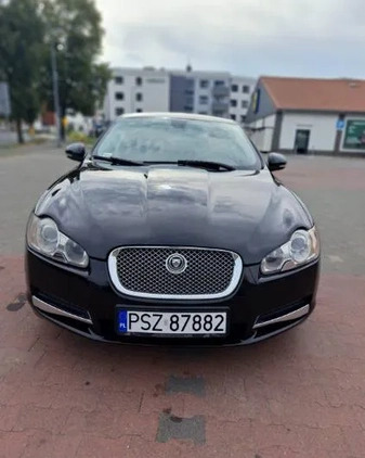 Jaguar XF cena 45000 przebieg: 157000, rok produkcji 2010 z Szamotuły małe 46